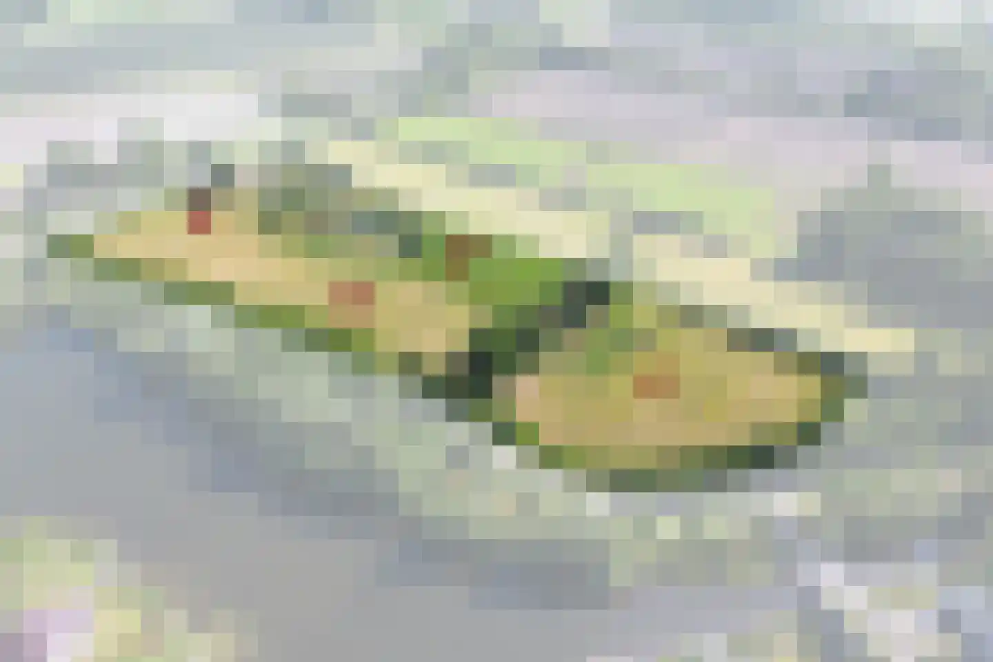 Europaweg Coevorden thumbnail 6