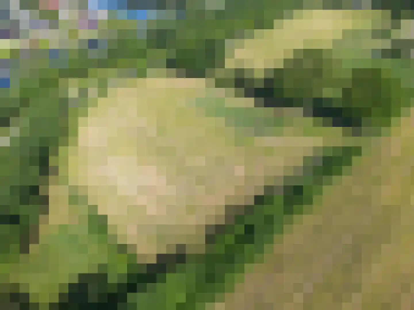 Europaweg Coevorden thumbnail 6