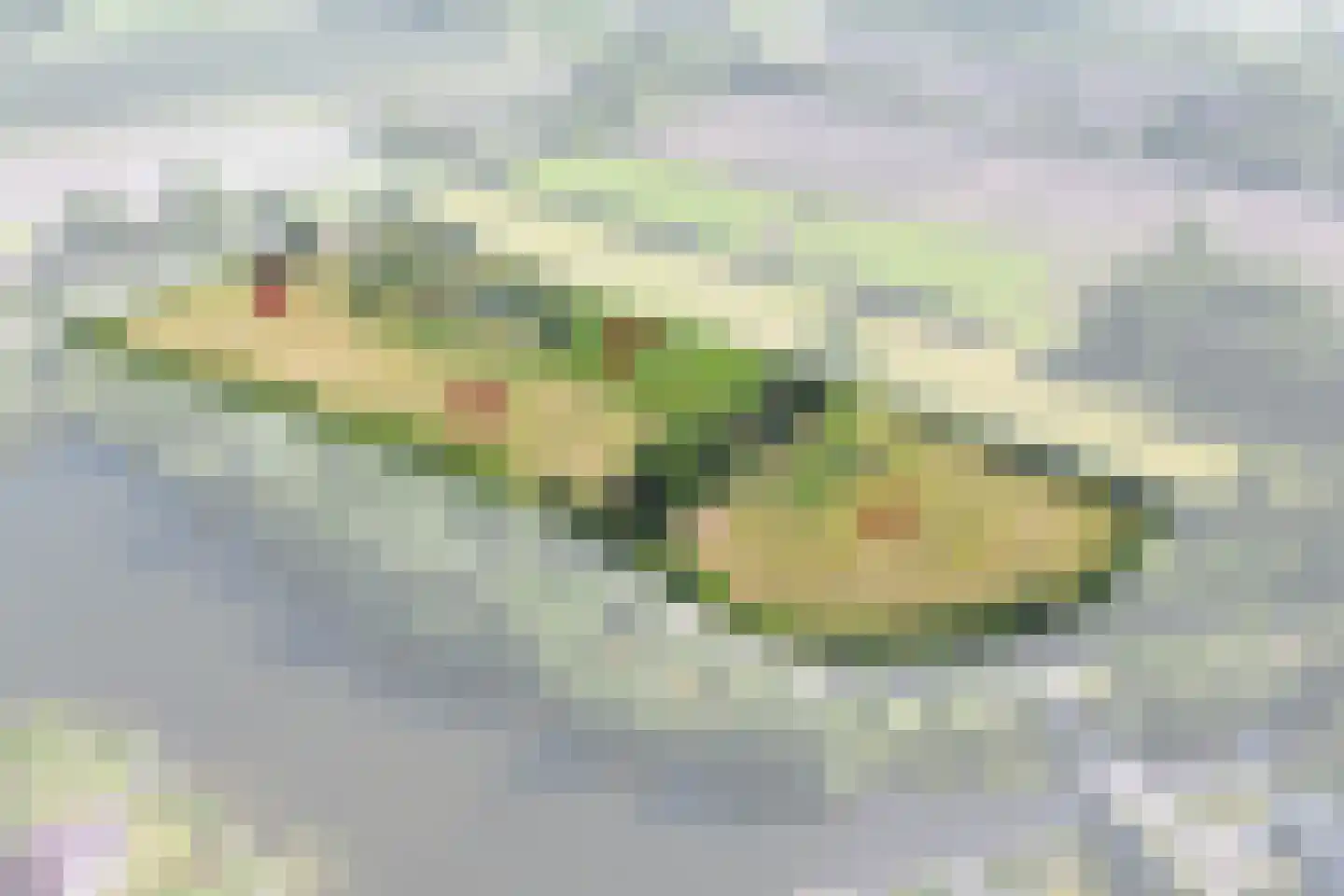 Europaweg Coevorden thumbnail 7