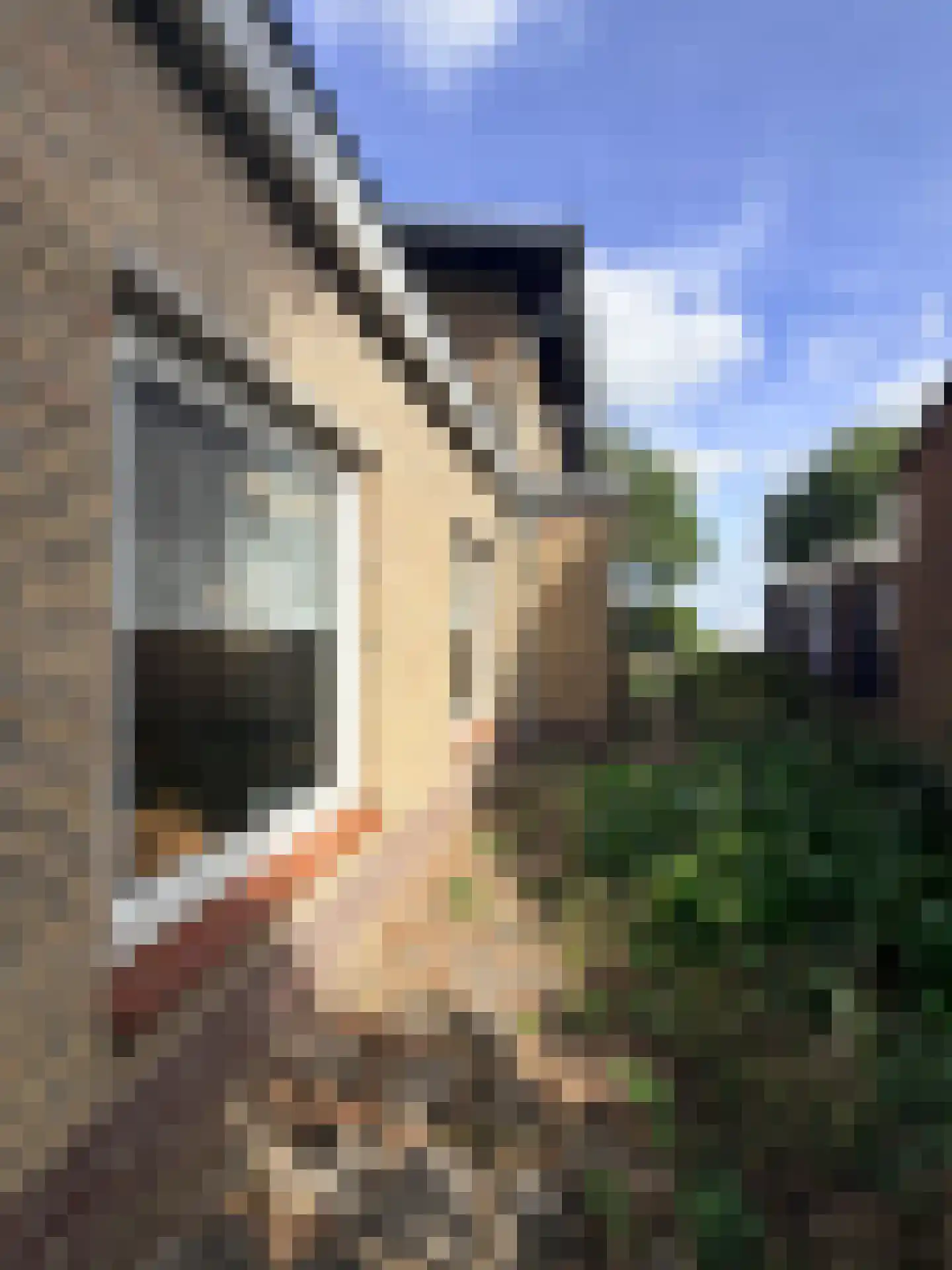 Europaweg-Noord 17 Landgraaf thumbnail 30