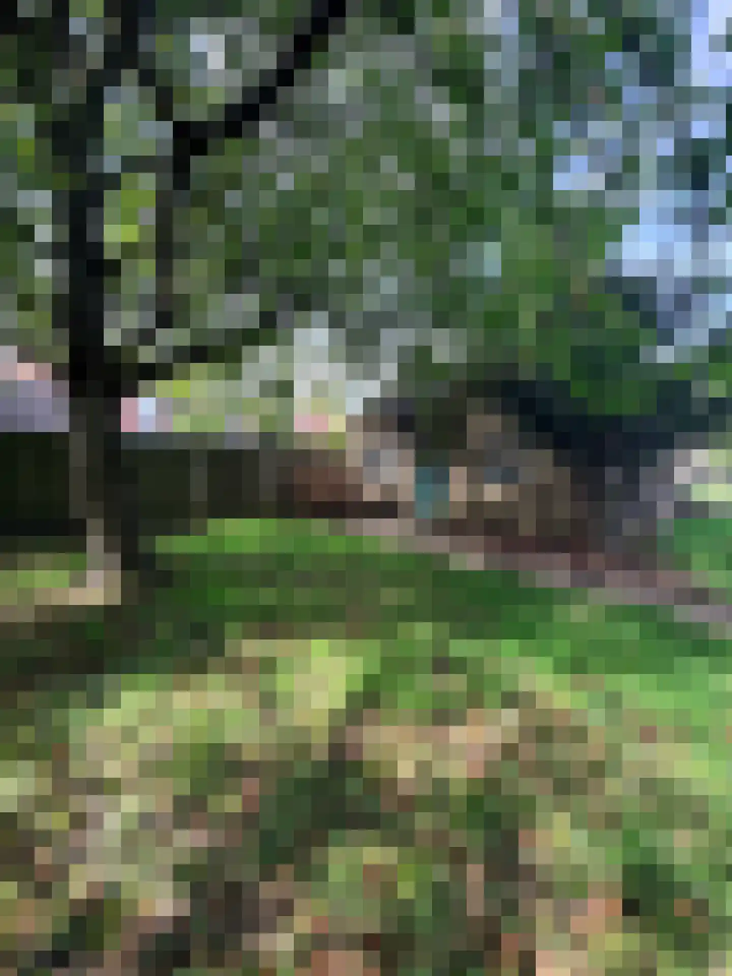 Europaweg-Noord 17 Landgraaf thumbnail 35
