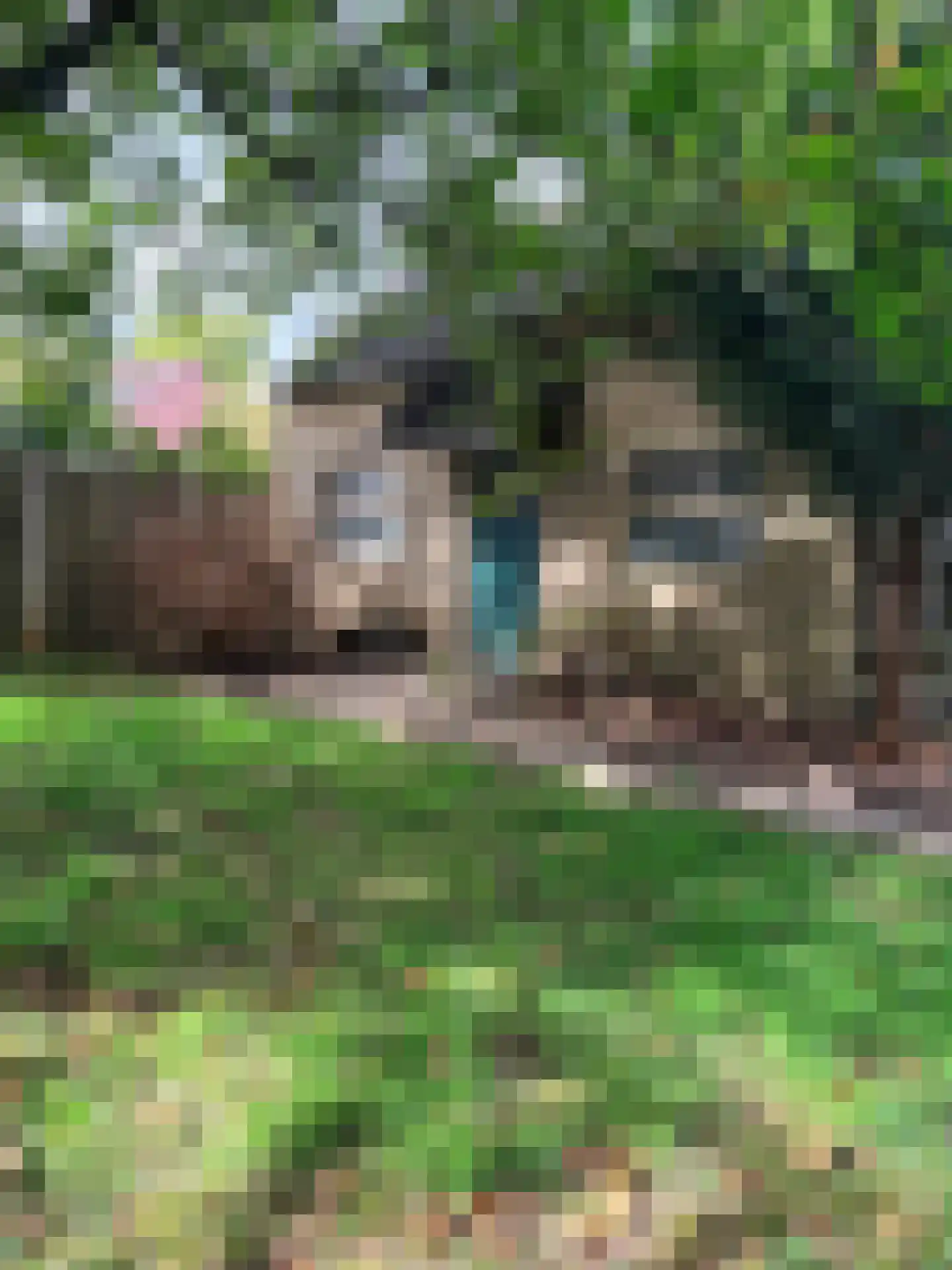 Europaweg-Noord 17 Landgraaf thumbnail 36