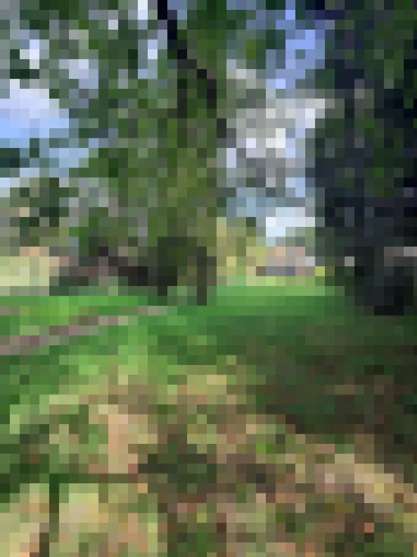 Europaweg-Noord 17 Landgraaf thumbnail 37