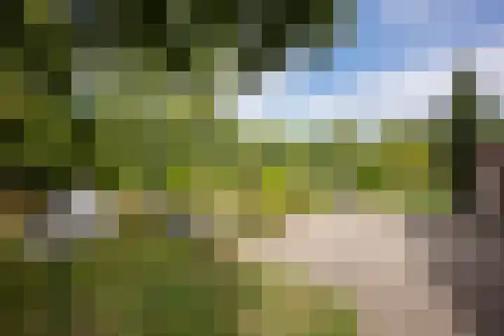 Europaweg-Noord 192 Landgraaf thumbnail 29