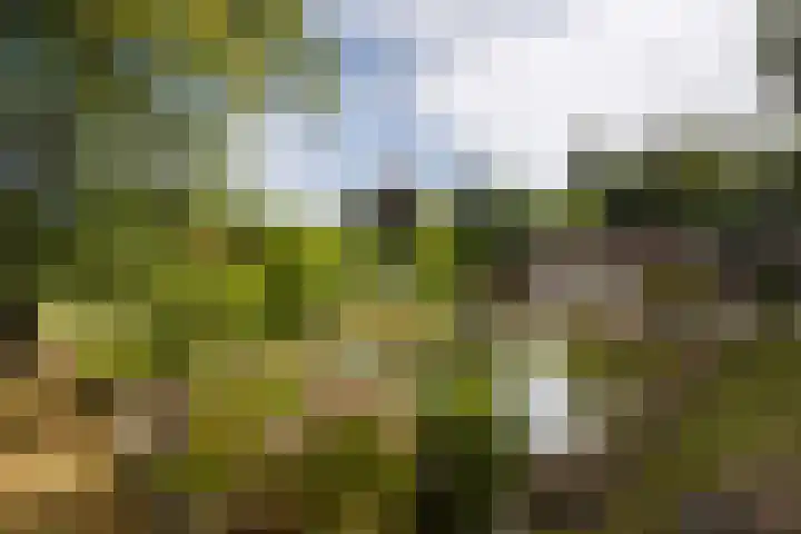 Europaweg-Noord 192 Landgraaf thumbnail 30