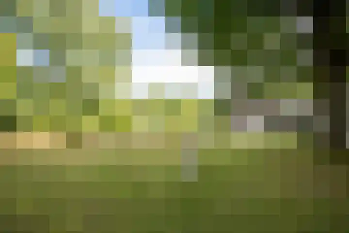 Europaweg-Noord 192 Landgraaf thumbnail 31