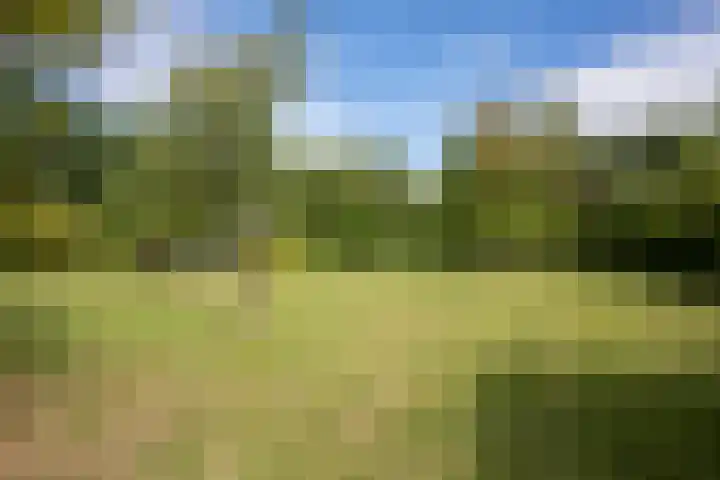 Europaweg-Noord 192 Landgraaf thumbnail 32