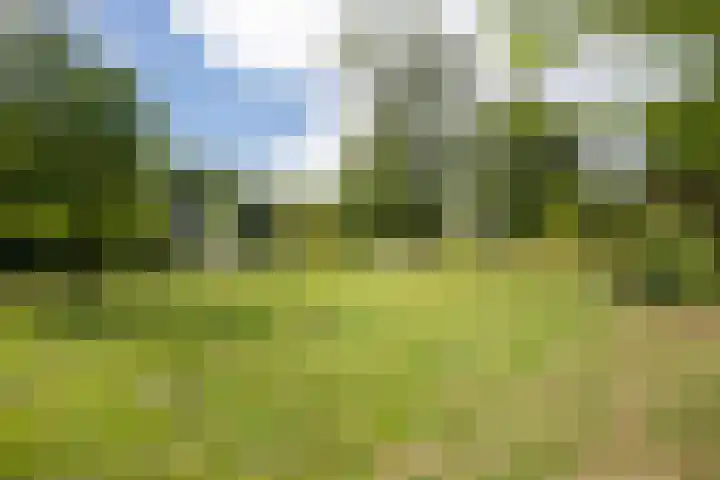 Europaweg-Noord 192 Landgraaf thumbnail 33