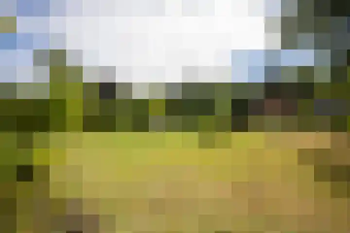 Europaweg-Noord 192 Landgraaf thumbnail 34