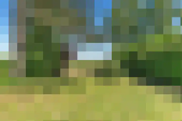 Europaweg-Zuid 333 Landgraaf thumbnail 21