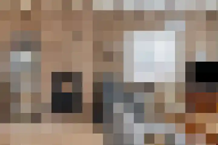 Europlein 3 Oeffelt thumbnail 10