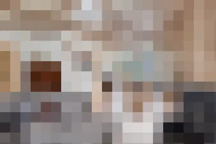 Europlein 3 Oeffelt thumbnail 12