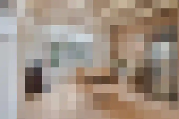 Europlein 3 Oeffelt thumbnail 13