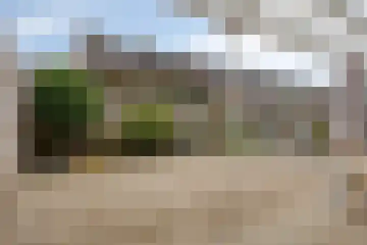 Europlein 3 Oeffelt thumbnail 27