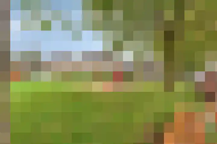 Europlein 3 Oeffelt thumbnail 31