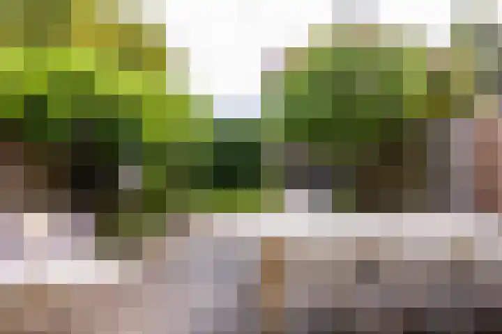 Eurosingel 162 Dronten thumbnail 33
