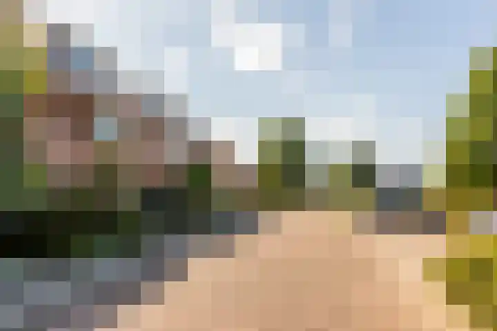 Eurosingel 162 Dronten thumbnail 40