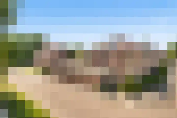 Eurosingel 176 Dronten thumbnail 31