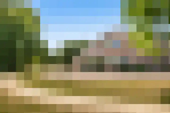 Eurosingel 176 Dronten thumbnail 32