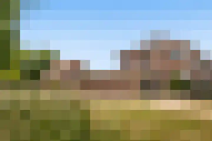 Eurosingel 176 Dronten thumbnail 33