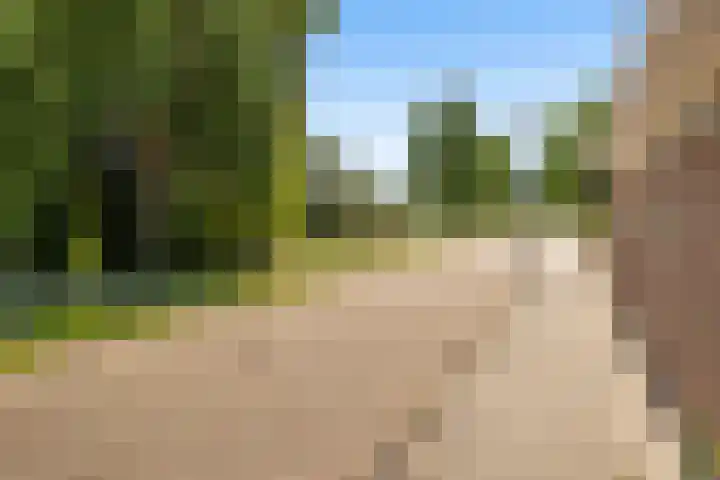 Eurosingel 176 Dronten thumbnail 34