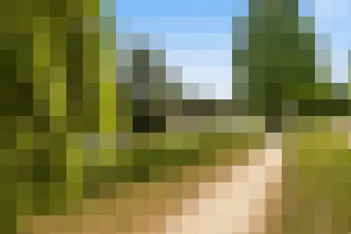 Eurosingel 176 Dronten thumbnail 35