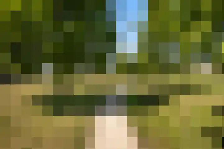 Eurosingel 176 Dronten thumbnail 36