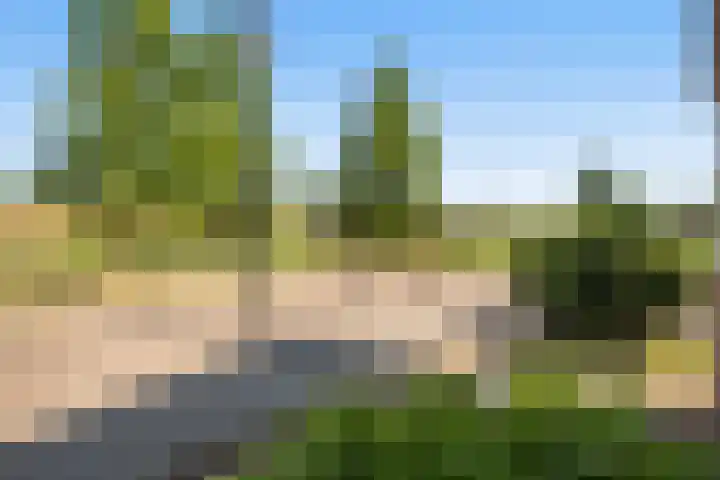 Eurosingel 176 Dronten thumbnail 37