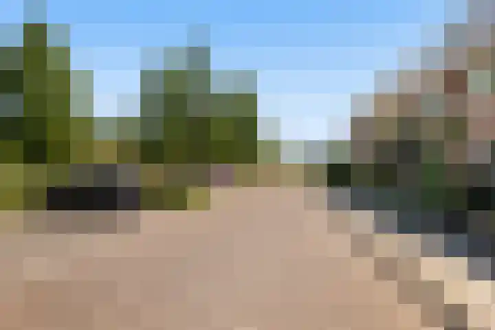 Eurosingel 176 Dronten thumbnail 38