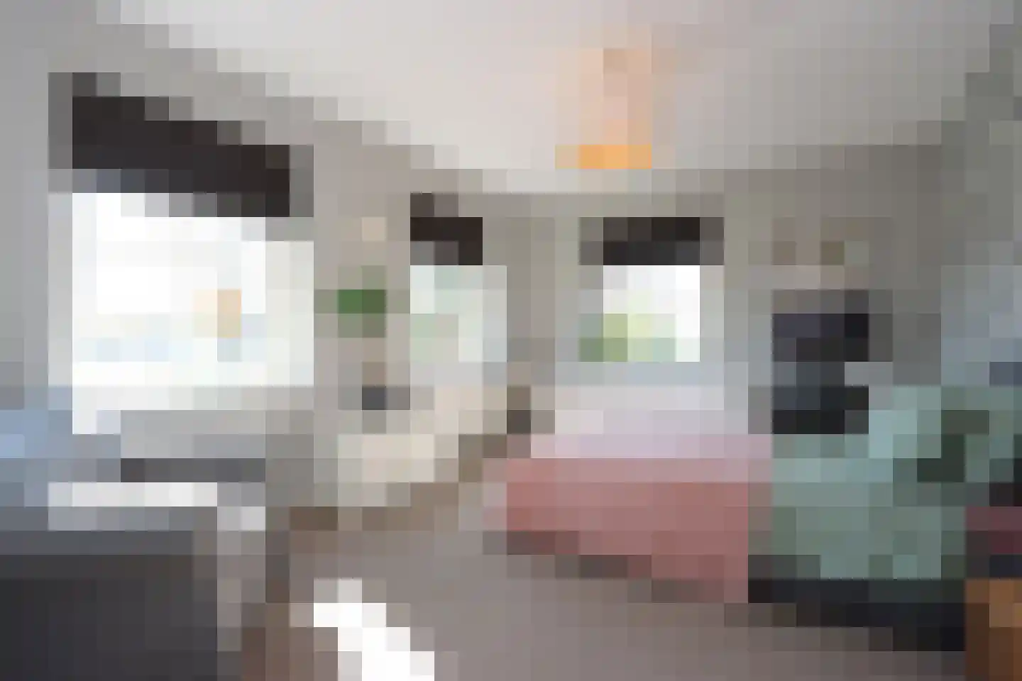 Eurosingel 188 Dronten thumbnail 33