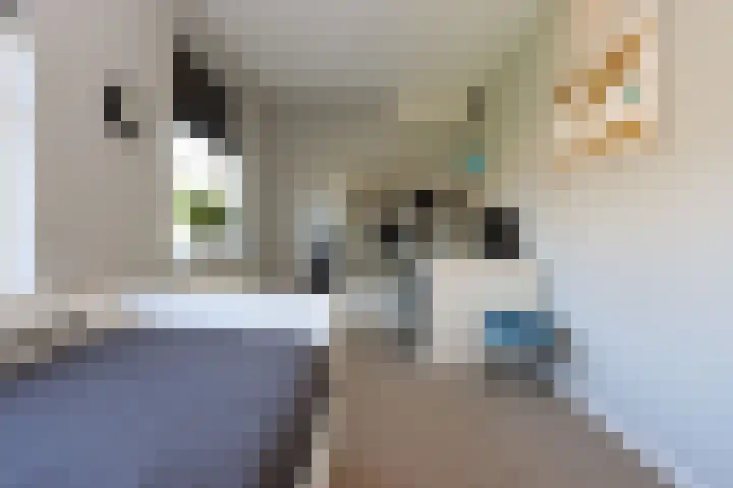 Eurosingel 188 Dronten thumbnail 38