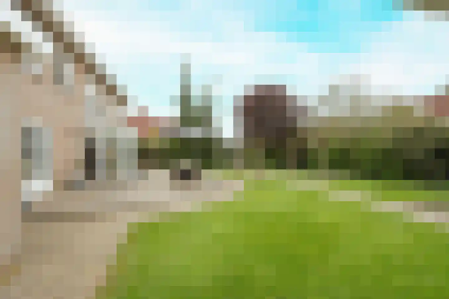Eurosingel 188 Dronten thumbnail 52