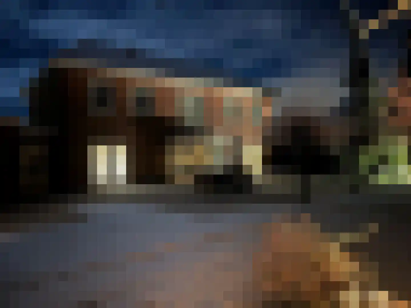 Eurosingel 188 Dronten thumbnail 61