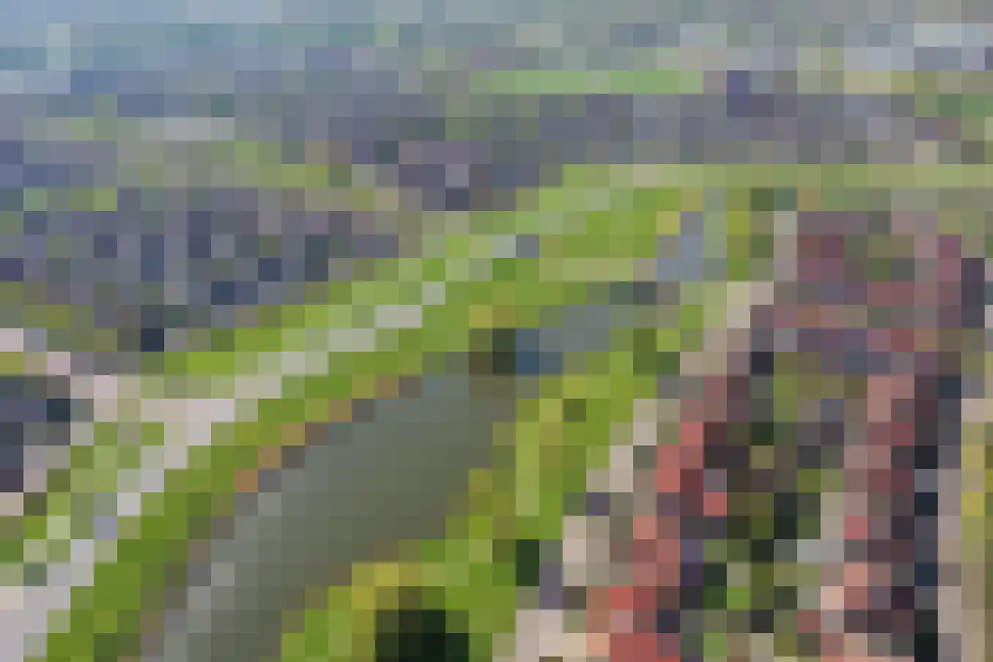 Eurosingel 188 Dronten thumbnail 64