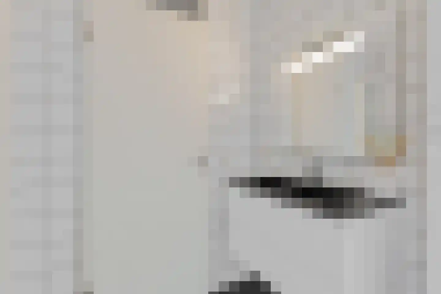 Eurostate 24 Stadskanaal thumbnail 32