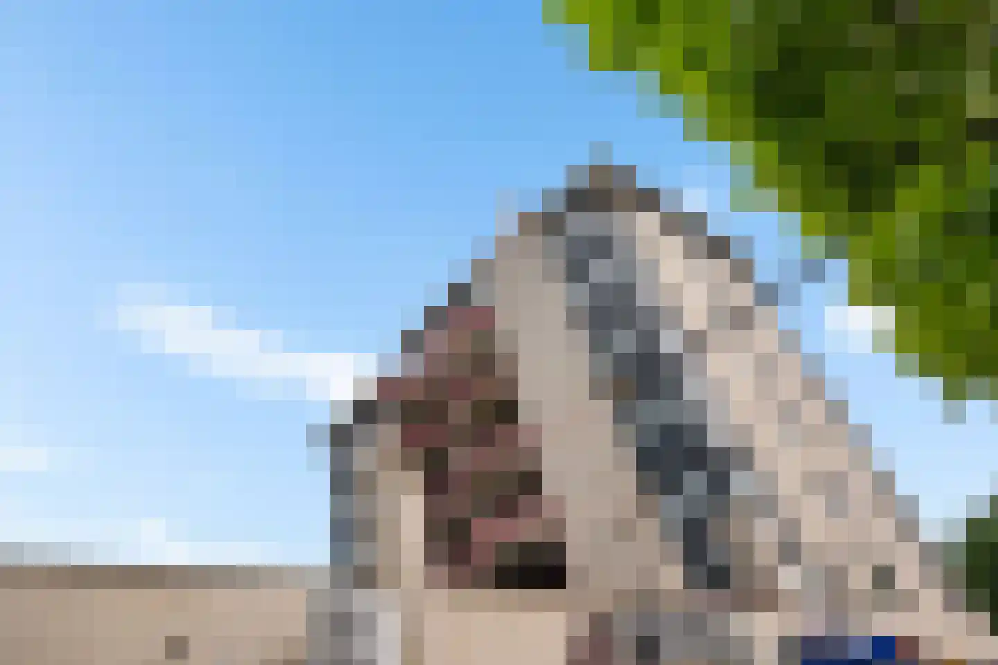 Eurostate 24 Stadskanaal thumbnail 4