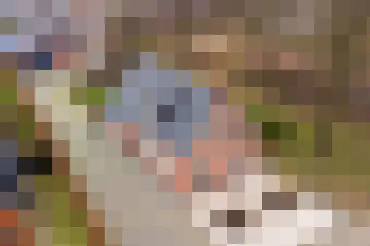 Euroweg 143 Leek thumbnail 17