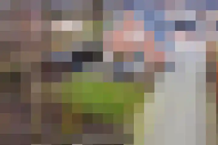 Euroweg 143 Leek thumbnail 19