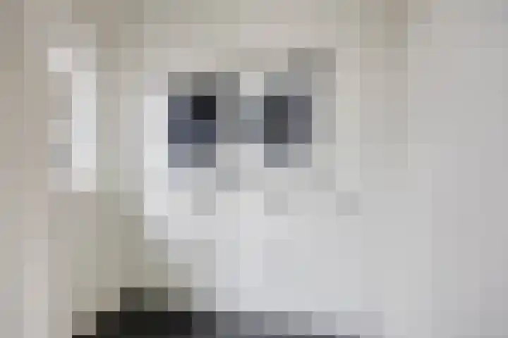 Euroweg 143 Leek thumbnail 43