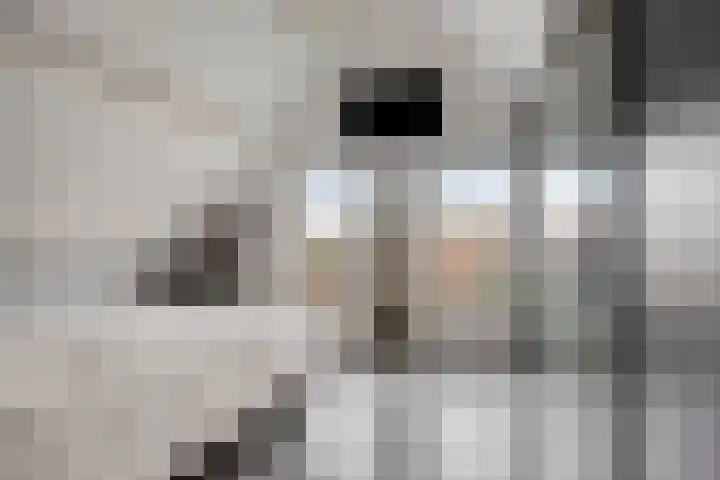 Euroweg 143 Leek thumbnail 46