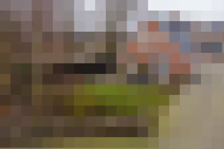 Euroweg 143 Leek thumbnail 5