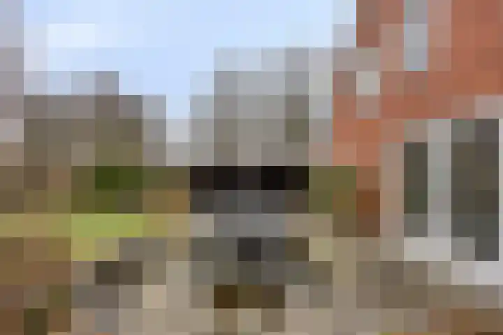 Euroweg 143 Leek thumbnail 55