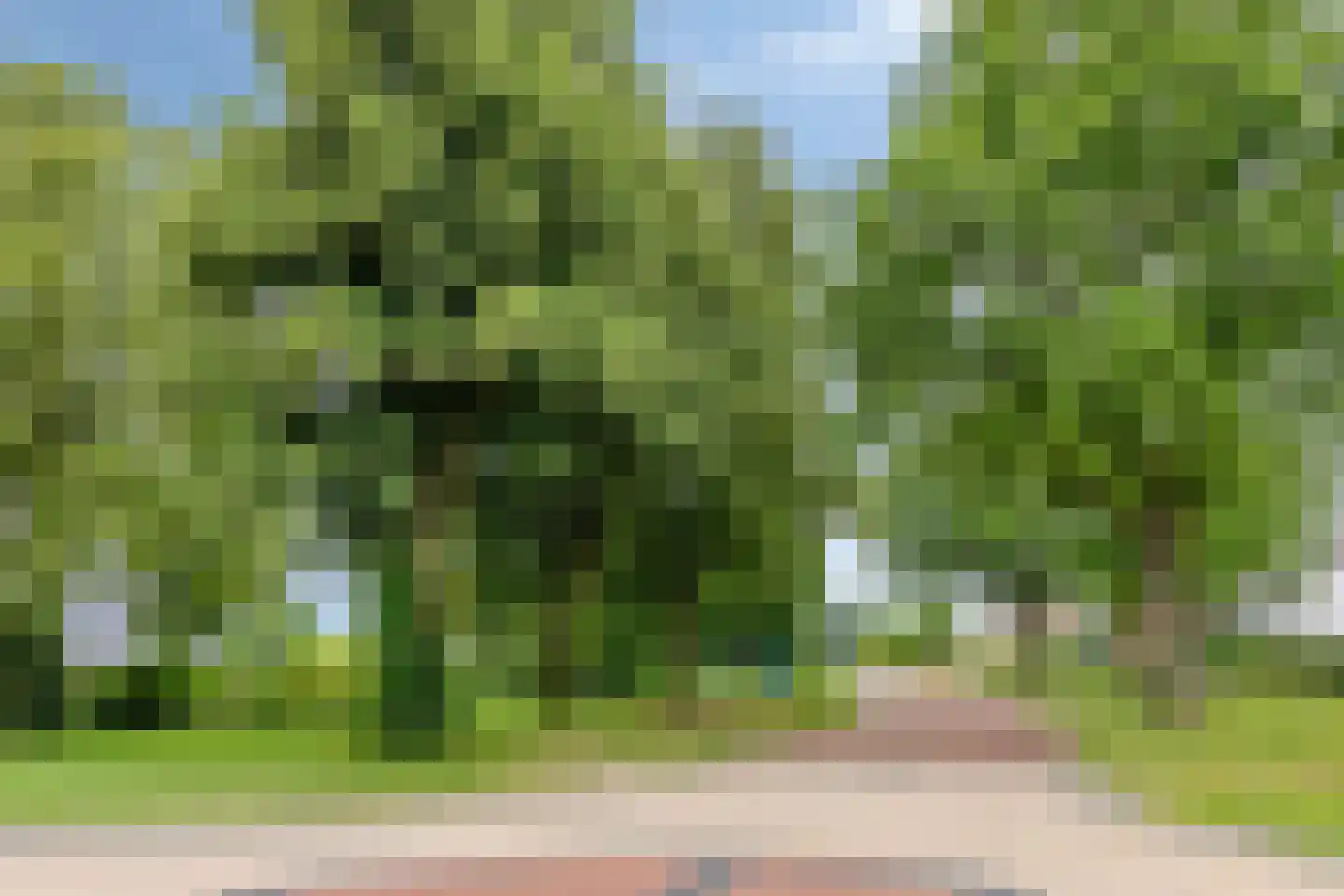Euroweg 90 Leek thumbnail 25