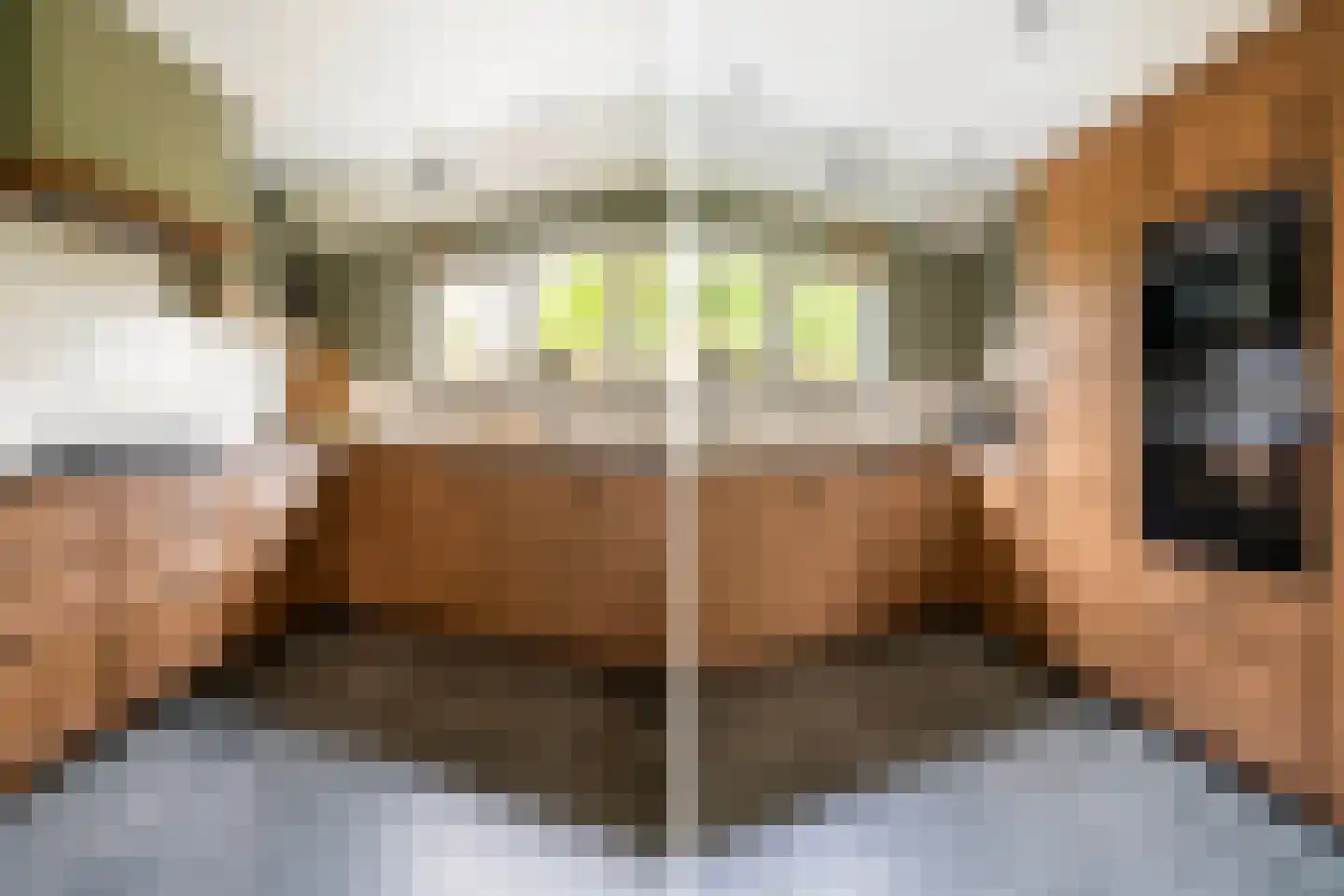 Eursing 11 Beilen thumbnail 14