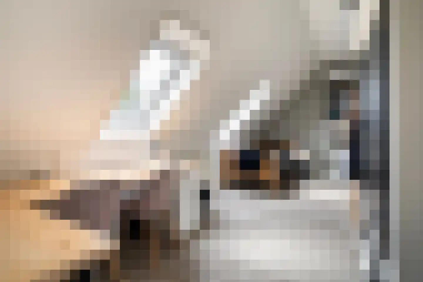 Eursing 11 Beilen thumbnail 23