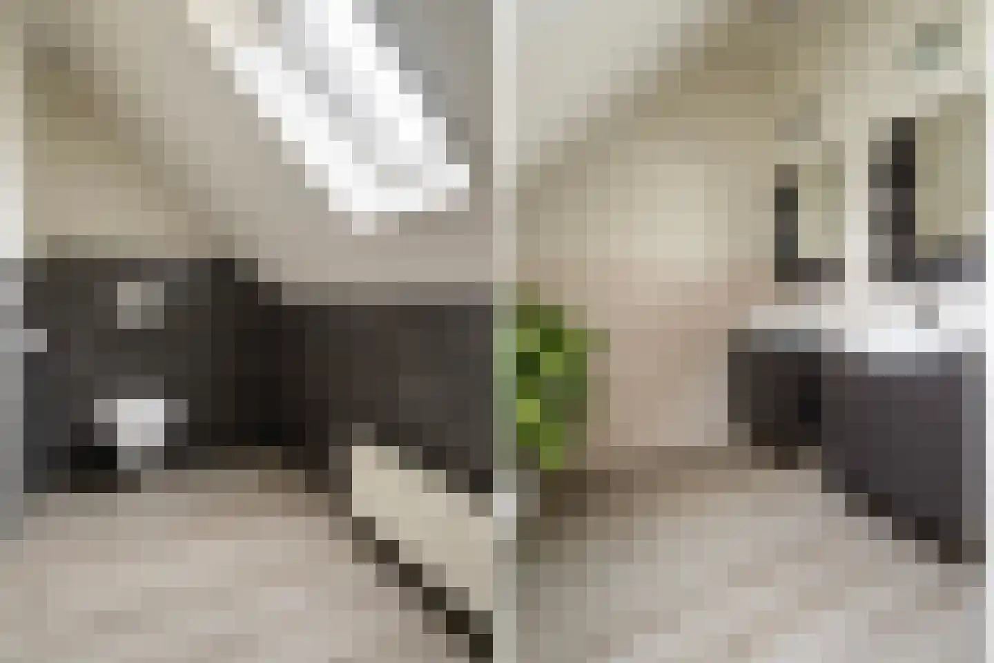 Eursing 11 Beilen thumbnail 28