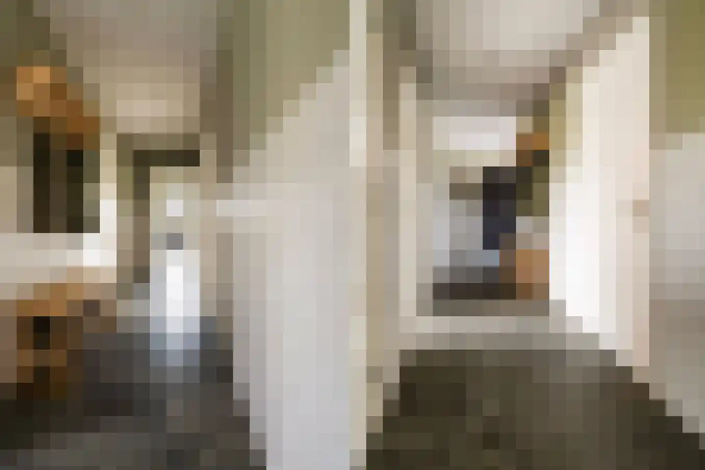 Eursing 11 Beilen thumbnail 30