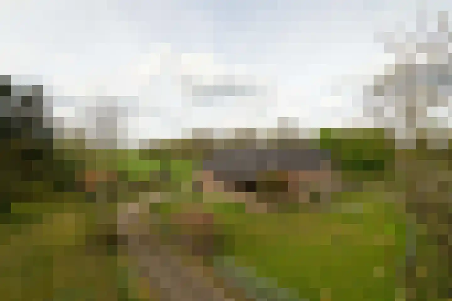Eursing 11 Beilen thumbnail 50