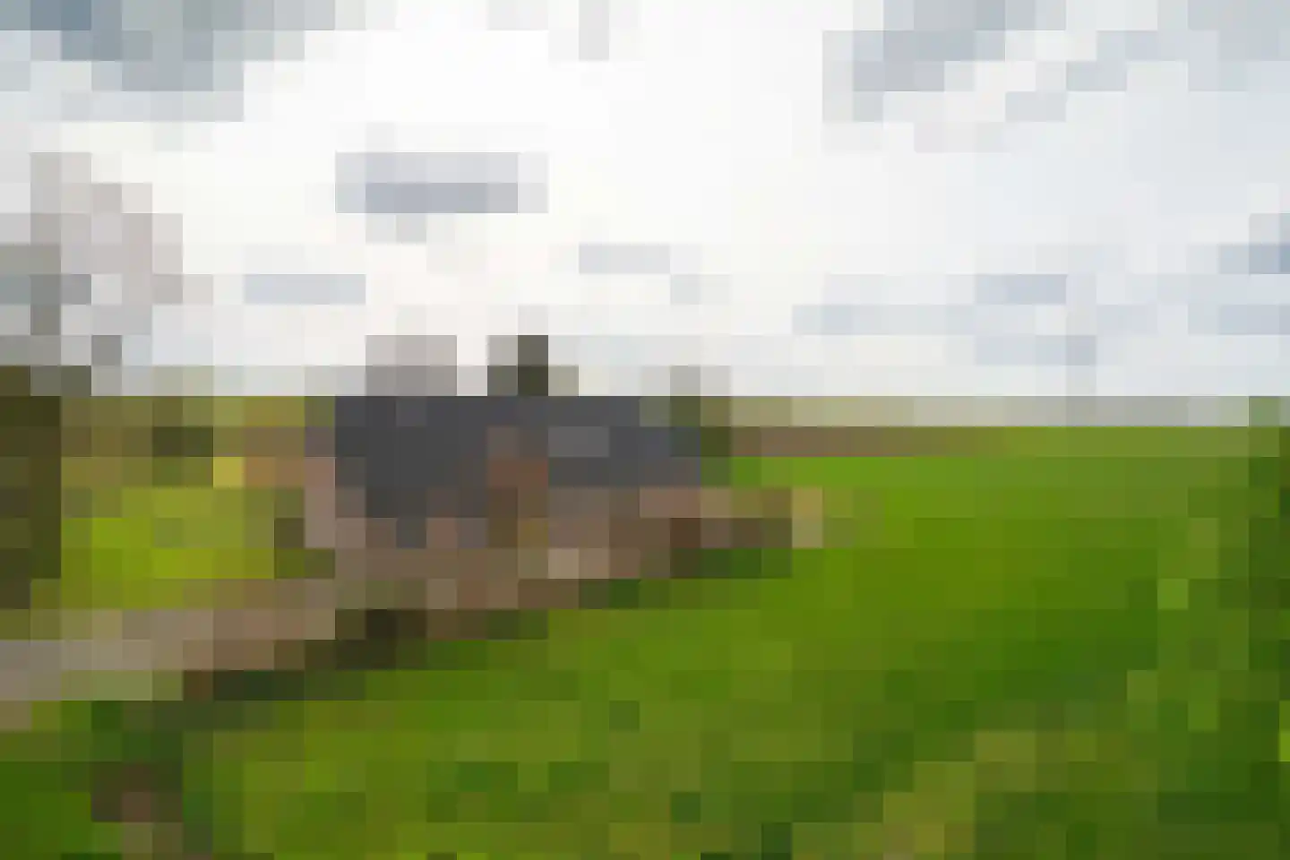 Eursing 11 Beilen thumbnail 51