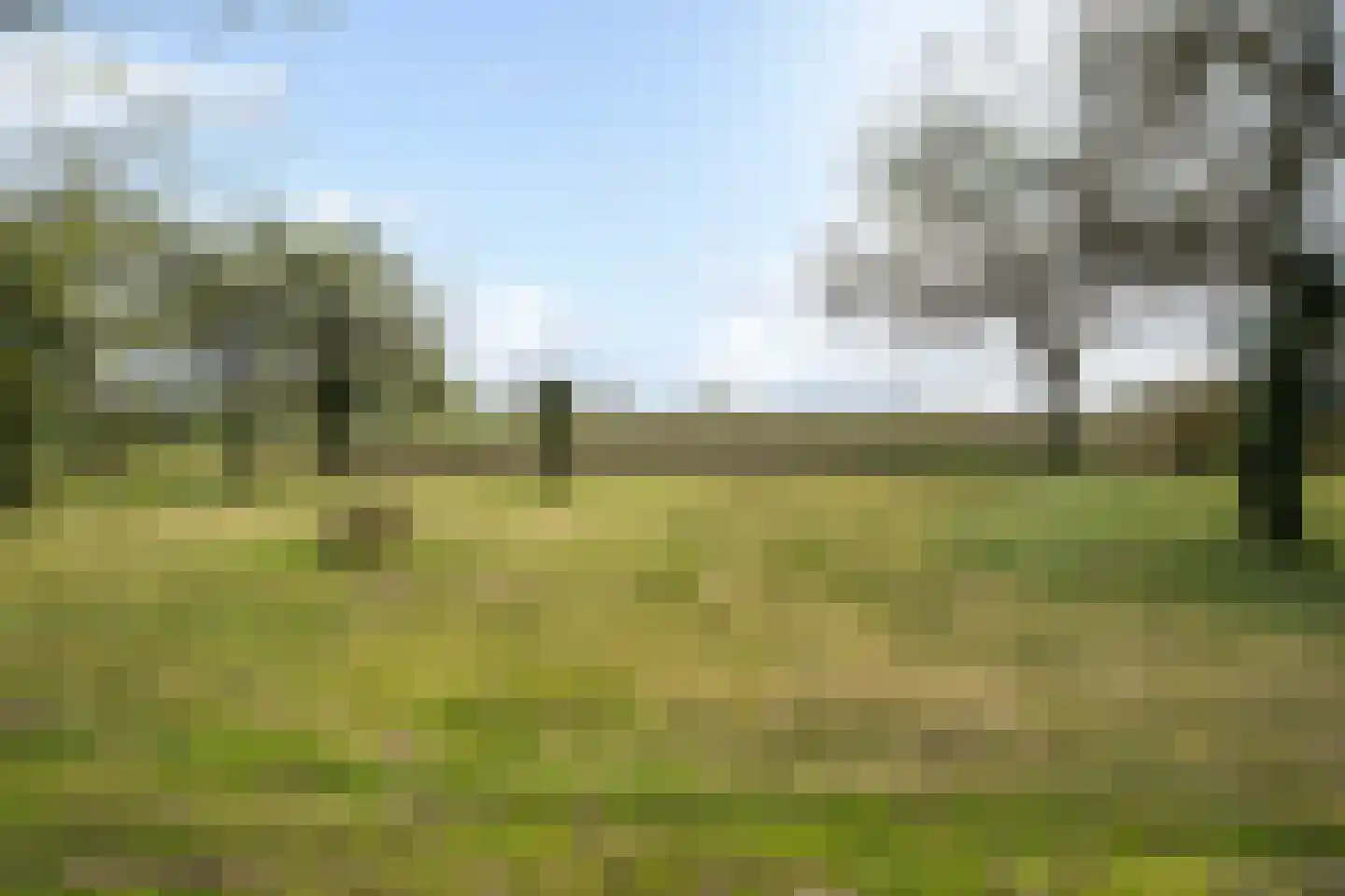 Eursing 11 Beilen thumbnail 54